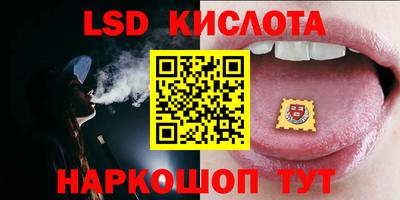 Альфа ПВП Ставрополь