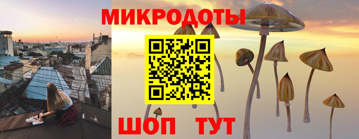 Галлюциногенные грибы ЛСД Менделеевск