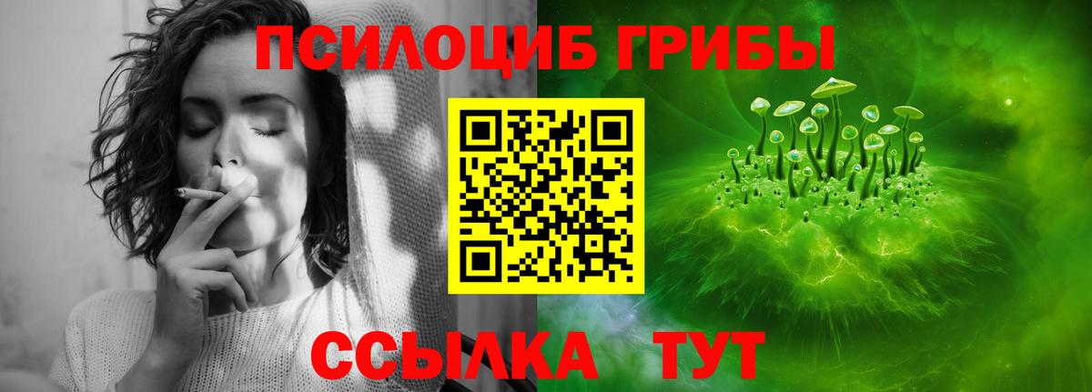Галлюциногенные грибы Cubensis  Вход с VPN  наркота  Менделеевск 